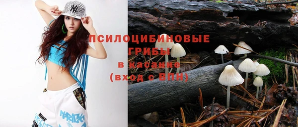 крисы Верхнеуральск