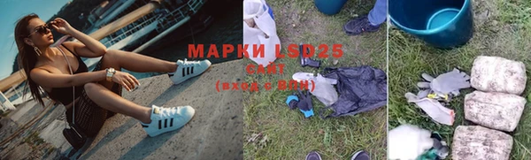 спиды Ростов